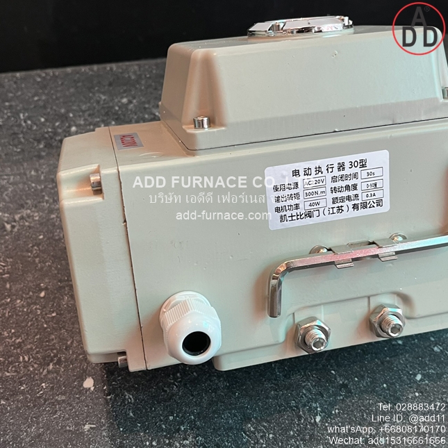Electric Actuator Model 30 (7)